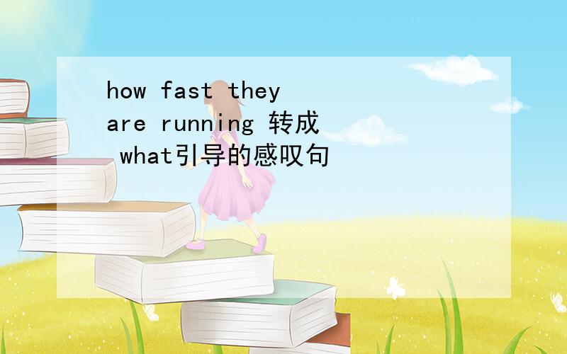 how fast they are running 转成 what引导的感叹句