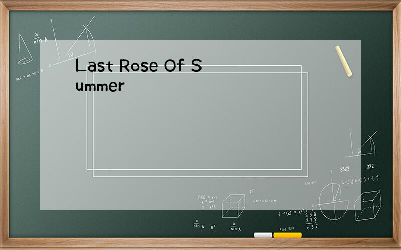 Last Rose Of Summer