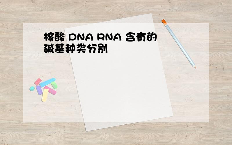 核酸 DNA RNA 含有的碱基种类分别