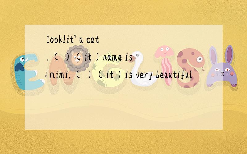 look!it' a cat.()(it)name is mimi.()(it)is very beautiful
