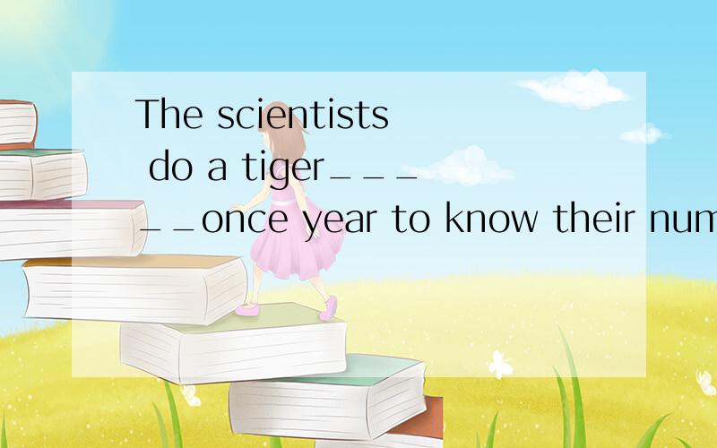 The scientists do a tiger_____once year to know their number