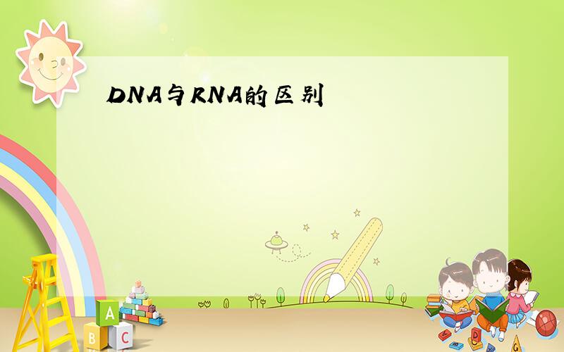 DNA与RNA的区别