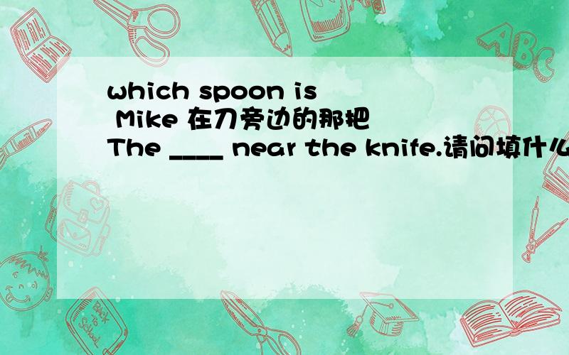 which spoon is Mike 在刀旁边的那把 The ____ near the knife.请问填什么