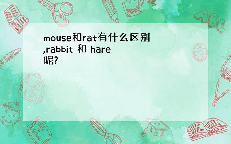mouse和rat有什么区别,rabbit 和 hare呢?