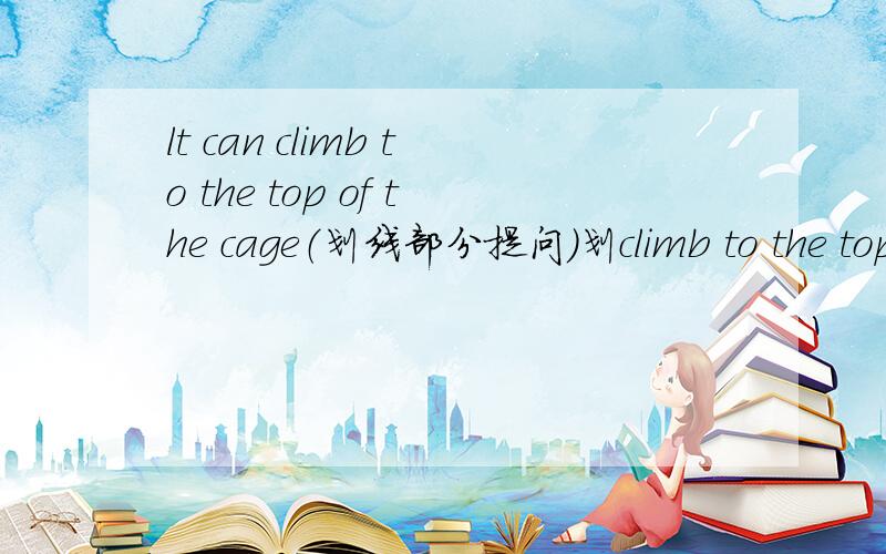 lt can climb to the top of the cage（划线部分提问）划climb to the top