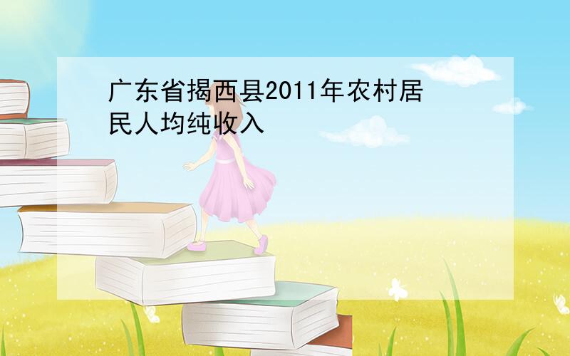广东省揭西县2011年农村居民人均纯收入