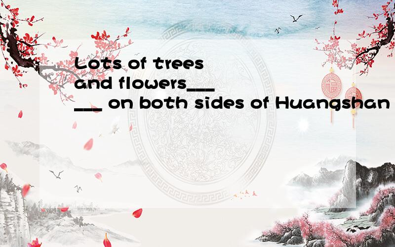 Lots of trees and flowers______ on both sides of Huangshan R